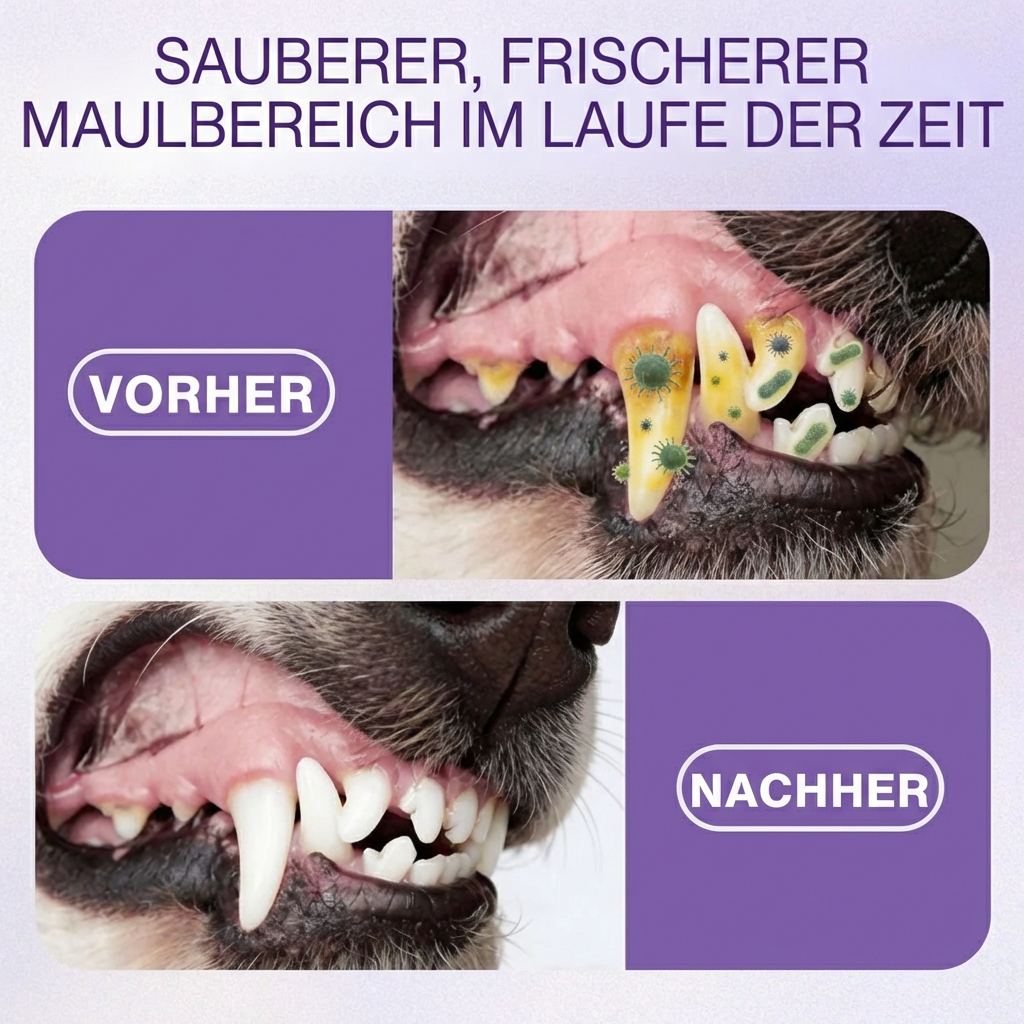 OralShine für Haustiere