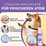 OralShine für Haustiere