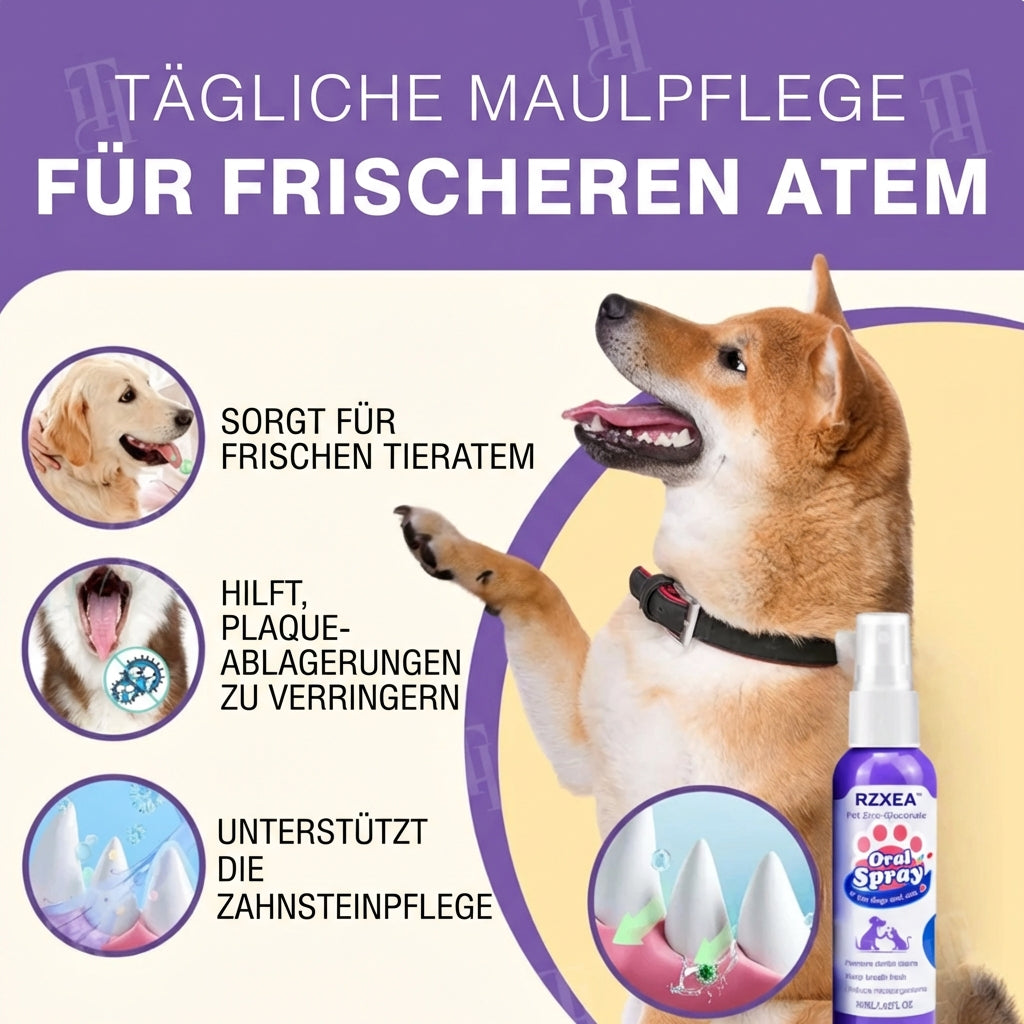 OralShine für Haustiere