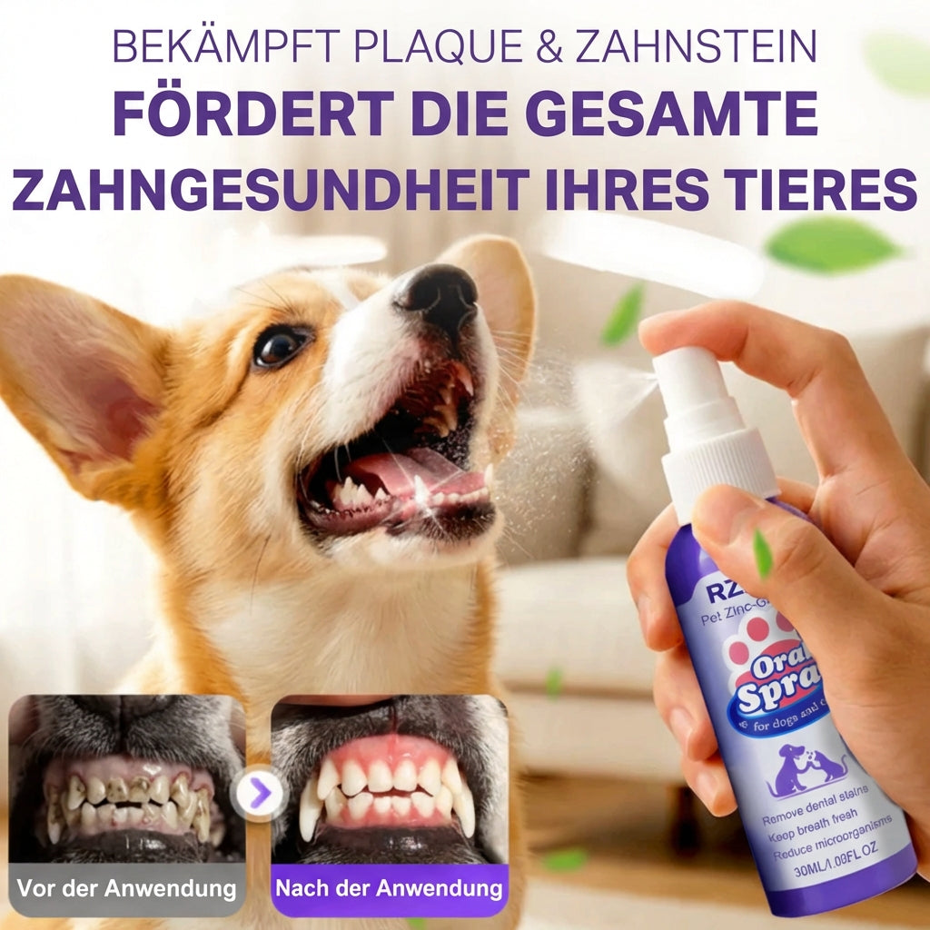 OralShine für Haustiere