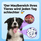 OralShine für Haustiere